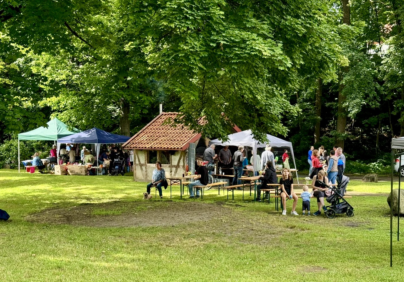 Blick in den Park