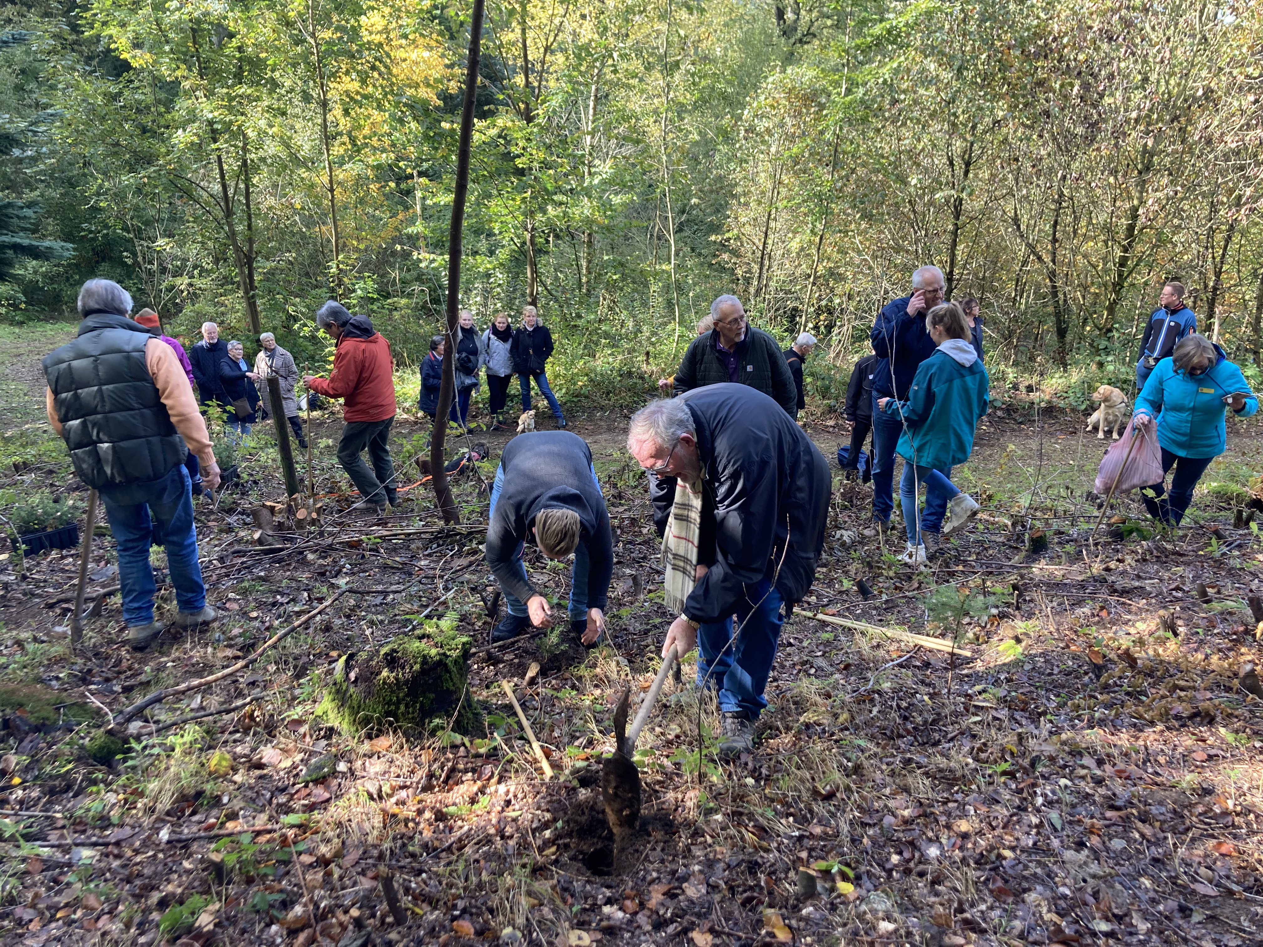 Baumpflanzung im Weltwald